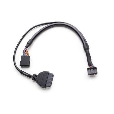 Toyota* için Güvenlik Bypass Kablosu - 1