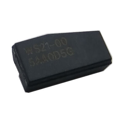 TRANSPONDER TRPWS21 TEXAS 128 BIT - 2